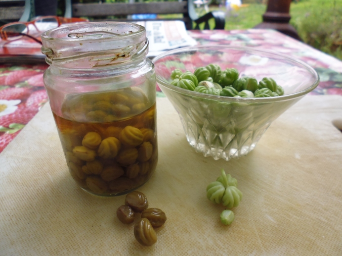 Pickle your nasturtium seeds in small jars